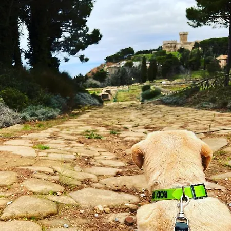 Podere Casalpiano