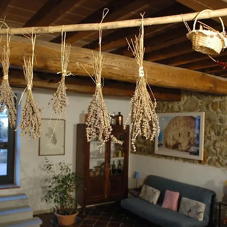 Podere Casalpiano Hotel apartamentowy