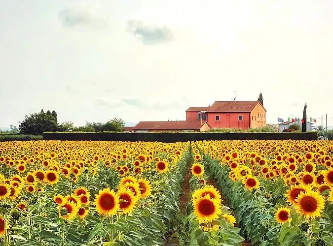 Podere Casalpiano מלון דירות קמפיליה מריטימה