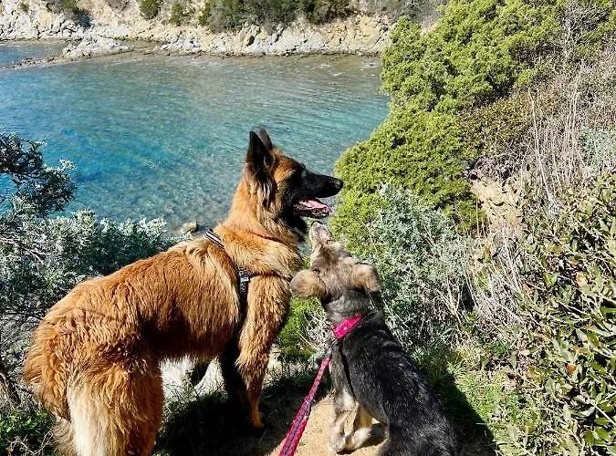 Podere Casalpiano 3*