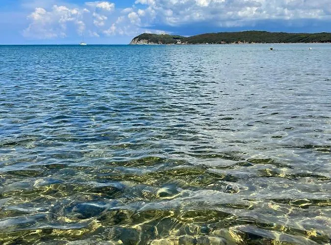 Podere Casalpiano מלון דירות