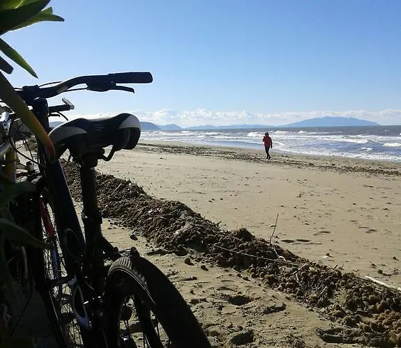 Podere Casalpiano מלון דירות